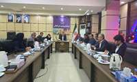  اتباع غیرمجاز در کنگان ساماندهی میشوند
